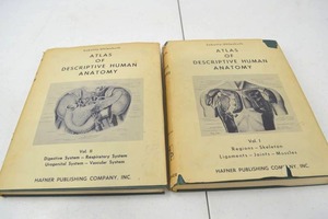lot 30 image: 1954 Atlas of Descriptive Human Anatomy 2 Volume Set Sobotta-Uhlenhuth