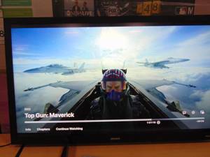 lot 3 image: 55  Outdoor Element 4K UHD Partial Sun Roku TV (EP400AB55R)