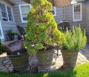 lot 140 image: Outdoor Patio Planter Trio with Greenery