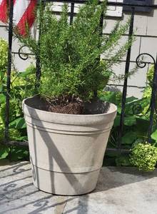 lot 148 image: Outdoor Planter with Rosemary Greenery