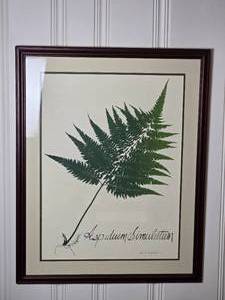 lot 32 image: Stunning Modern Fine Art Botanical Print - M. & R. Gougstreet - Aspidiem Simulatum