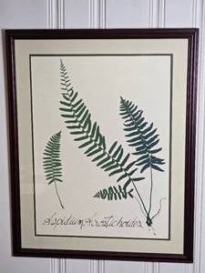 lot 31 image: Stunning Modern Fine Art Botanical Print - M. & R. Gougstreet - Aspidium Acrostichoides