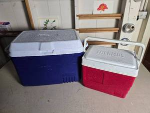 lot 186 image: Hard-Case Cooler Pair - Rubbermaid - THERMOS