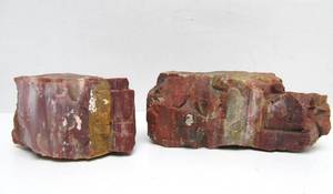 lot 198 image: 2 Larger Heavy Chunks of Arizona Petrified Wood