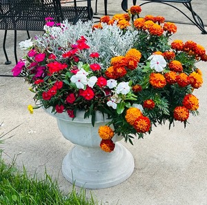 lot 119 image: Urn Planter with Flowers