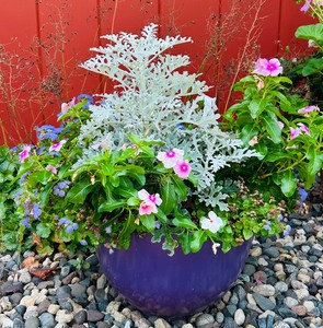 lot 120 image: Purple Planter with Flowers