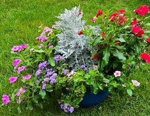lot 210 image: Large Tub Planter with Varietals