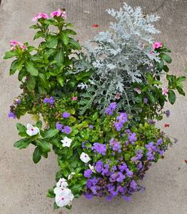 lot 212 image: Lovely Floral Display in Plastic Planter