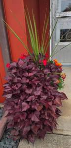 lot 218 image: Large Beige Planter Containing a Variety of Colorful Foliage & Florals