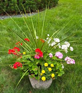 lot 225 image: Lovely Floral Plantings