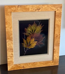 lot 32 image: Framed Botanical Artwork by Mary Booker in Maple Frame