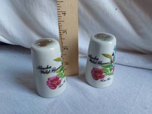 lot 120 image: Alaska Wild Flowers Salt and Pepper Shakers