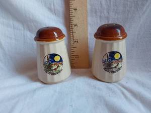 lot 172 image: New Mexico Souvenir Salt and Pepper Shakers