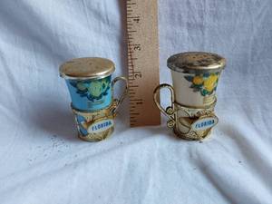 lot 228 image: Florida Souvenir Salt and Pepper Shakers