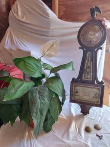 lot 445 image: Sessions Banjo Clock with Eagle Finia