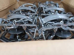 lot 31 image: (NIB) 12 VICTOR COIL SPRING #4 TRAPS