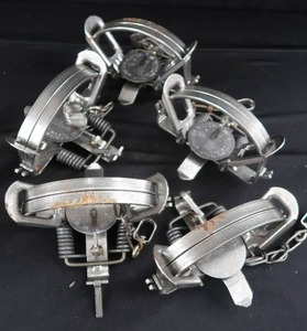 lot 55 image: 5 NEW VICTOR #4 COIL SPRING TRAPS (COYOTE)