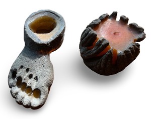 lot 138 image: Vintage Hand Crafted Sand Casted Foot and Abstract Candles