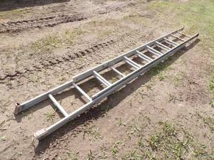 lot 58 image: 20 extension Ladder