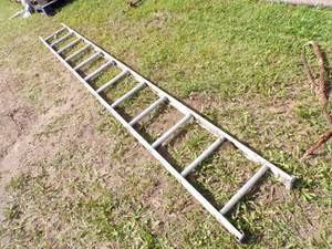 lot 59 image: 12 Ladder