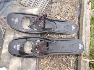 lot 150 image: Snow Shoes