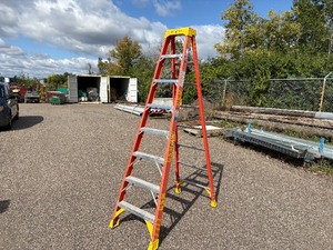 lot 113 image: Werner 8 ladder 6208, weight capacity 300 LB