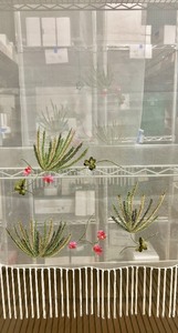 lot 88 image: Sue Wong Nocturnes 100% Silk Sheer Scarf with Embroidered Flowers