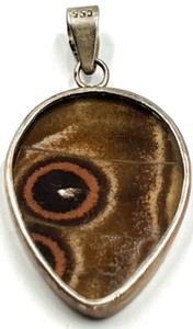 lot 255 image: Sterling Silver 950 Butterfly Wing Pendant Reversible Blue and Brown Pattern 4.8g