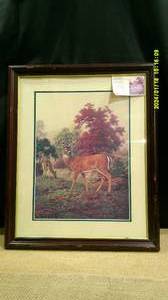lot 19 image: Wooded Royalty by Rodger Lawrence