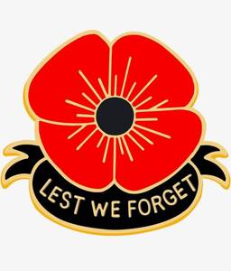 lot 220 image: 27 Remembrance Pins Lest We Forget Poppy - Brand New