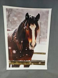 lot 408 image: Horse in Snow 12 x 18 Canvas Print - Brand New