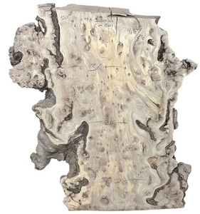 lot 004 image: Siberian Elm Burl from Racine, WI 41.51.5 (36, 28, 28)