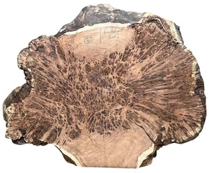 lot 009 image: Redwood Burl TREE OF LIFE from Northern California from the 1960s 373.25 46 wide