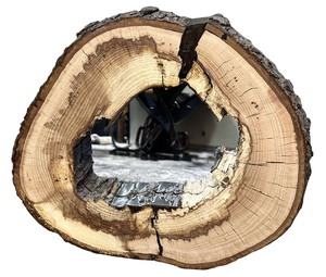 lot 027 image: Spalted Hickory Wall Hanging Mirror, Brown Epoxy Filled Voids, Prior Lake, MN (17 X 15 X 1 58 thick)