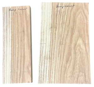 lot 045 image: Honey Locust X2 (18.252) (192)