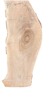 lot 051 image: Sycamore 361.25 (12, 14, 14)