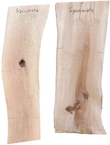 lot 053 image: Sycamore X2 (19.51.25 5.25, 5.75) (19.751.75 6.5, 8 38)