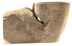 lot 066 image: Black Walnut 21.752, 22