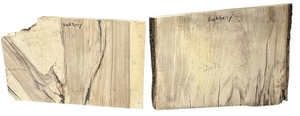 lot 079 image: Hackberry X2 (14 381.5 24) (15.52 20.5)
