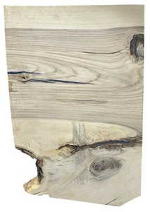 lot 081 image: Hackberry 23.251.5 15.75