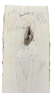 lot 083 image: Hackberry 93.52 (11, 12, 16.5)