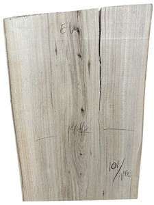 lot 087 image: Elm 101.5 14.5 wide