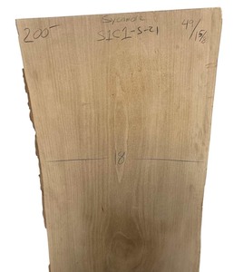lot 104 image: Sycamore 491 58 (18, 20)