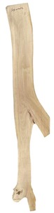 lot 108 image: Sycamore 72.251 (12, 8)