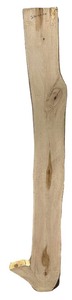 lot 110 image: Sycamore 631.75 (6.5, 7.25, 12.25)