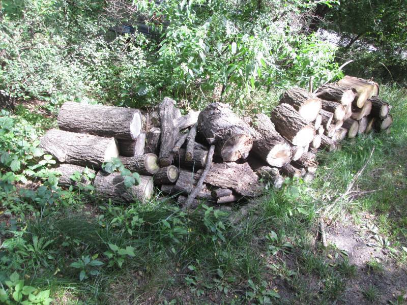 lot 259 image: Cascading line of stacked firewood ...