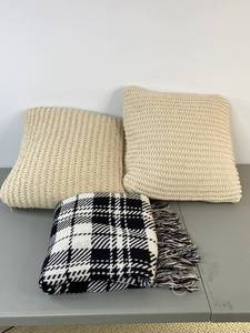 lot 457 image: Decorative Pillow and Blanket Lot 2 Pillows, 1 Blanket