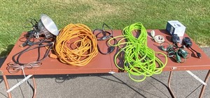 lot 256 image: Assorted Extension Cords, Timers, Switches, and Lamp