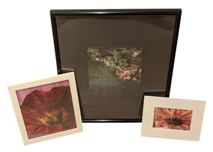 lot 78 image: Framed Floral Prints by John A. Olson