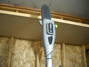 lot 30 image: Pole Saw